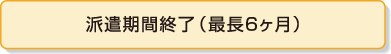 派遣期間終了(6ヶ月)